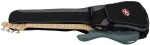 G&L L-2000 Grey Pearl, Pine, MP