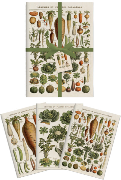 Sada tří notýsků - Vegetables