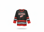 Outerstuff Dětský dres Detroit Red Wings NHL Fashion Hockey Jersey Velikost: Dětské L (11 - 12 let)