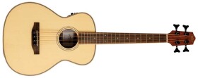 Lanikai SPST-EBU Mini Bass