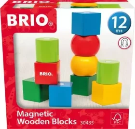 BRIO Magnetické dřevěné kostky