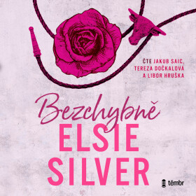 Bezchybně - Elsie Silver - audiokniha
