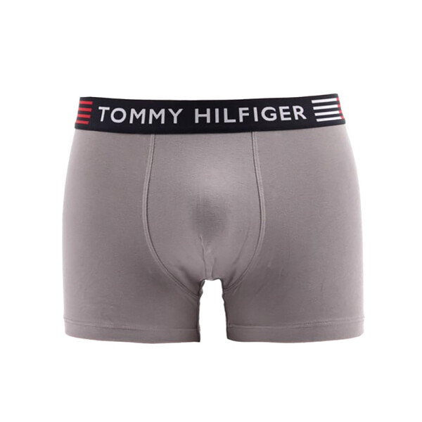 Flex Trunk UM0UM02411-PTM - Tommy Hilfiger M