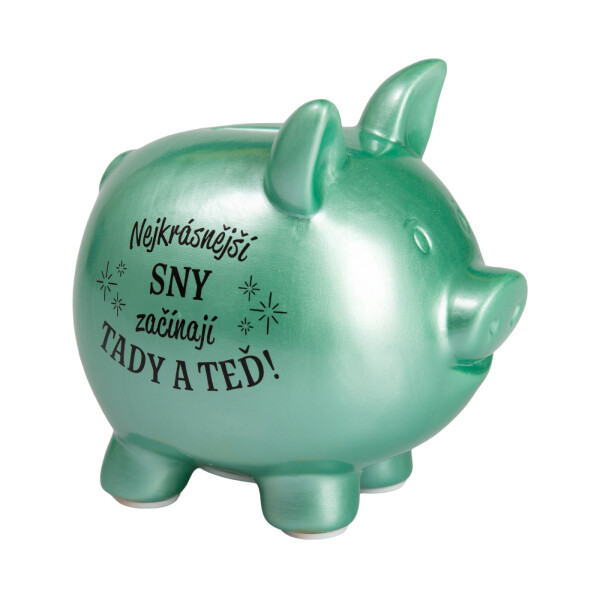 Prasátková pokladnička - Sny začínají tady a teď - Albi