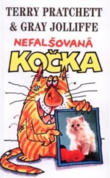 Nefalšovaná kočka - Terry Pratchett