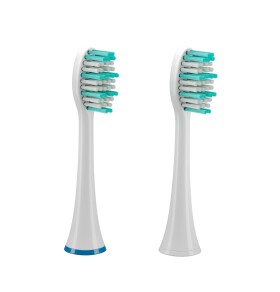 TrueLife SonicBrush UV Standard Duo Pack