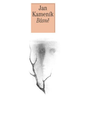 Básně - Dílo Jana Kameníka, sv. 1 - Jan Kameníček