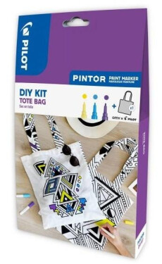 Pilot Pintor, Fine, sada TAŠKA