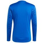 Adidas Team Icon 25 Jersey s dlouhým rukávem M JM6788 pánské L