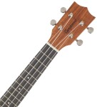 Tanglewood TWT 8