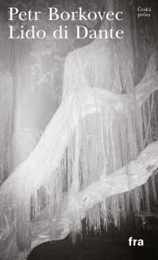 Lido di Dante - Petr Borkovec