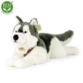 Eco-Friendly Rappa pes husky s obojkem ležící 60 cm