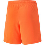 Dětské šortky TeamRise Short Jr 704943 08 Puma