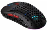 Endorfy LIX Plus Wireless černá / optická / bezdrátová / herní / 19000 dpi / PAW3370 / 6 tlačítek / RGB / USB-C (EY6A007)