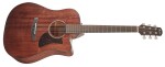 Ibanez AAD190CE Natural