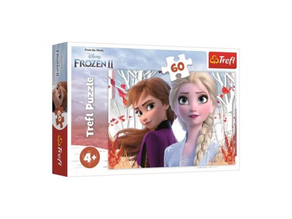 TREFL Puzzle Frozen Kouzelný svět Anny Elsy 60 dílků