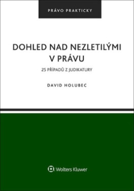 Dohled nad nezletilými v právu - David Holubec