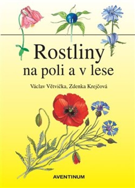 Rostliny na poli lese