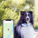 Tractive GPS DOG GPS sledování polohy aktivity pro psy (2021) TRNJAWH