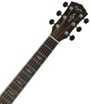Taylor Gold Label 814e Koa