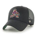 Arizona Coyotes Branson