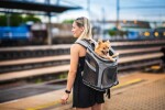 Smart šedo-modrý batoh pro psa | do 6 Kg Barva: Černá, Dle váhy psa: do 6 kg