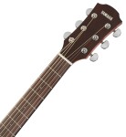 Yamaha A1M VNT