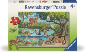 Ravensburger Puzzle: Zvířata na zemi i pod ní - tajemství přírody