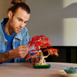 LEGO LEGO® Botanicals 10348 Bonsaj – Japonský červený javor