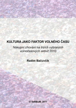 Kultura jako faktor volného času - Radim Bačuvčík - e-kniha