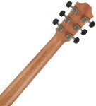 Furch Red Pure G-LR CNR Active