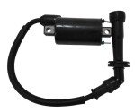Access-Motor Originální indukční cívka na Access Warrior 450
