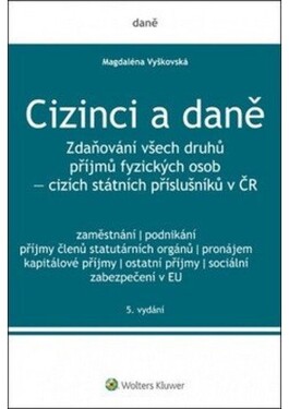 Cizinci daně