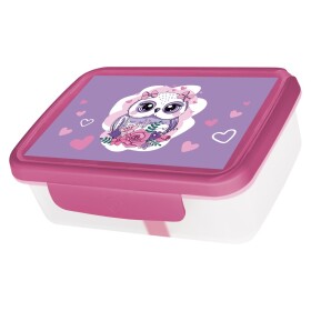 Zdravá sváča - komplet box Sovička