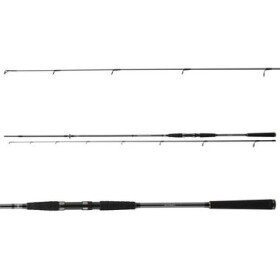 Daiwa Prut Seahunter X Seatrout 3,1m 10-40g (11533-312)