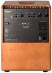 Hughes & Kettner Era 2 Wood