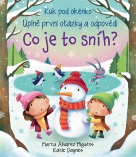 Co je to sníh?