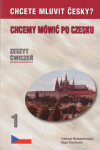 Chcete mluvit česky?