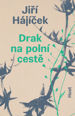 Drak na polní cestě (poškozená) - Jiří Hájíček