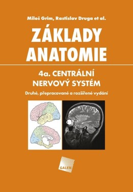 Základy anatomie 4a