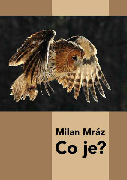 Co je? - Milan Mráz