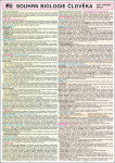 SOUHRN BIOLOGIE ČLOVĚKA Vlastimila Pešková
