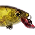 Westin Wobler BuzzBite SR Crankbait Low Floating Official Roach - 6g 5cm,Westin Wobler BuzzBite SR Crankbait Low Floating Official Roach - 6g 5cm