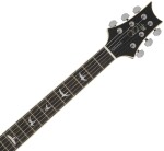 PRS SE Hollowbody Standard Dog Hair Smokeburst