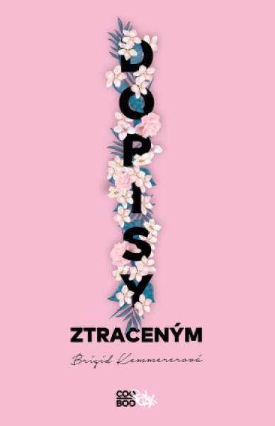 Dopisy ztraceným - Brigid Kemmererová - e-kniha