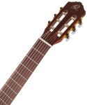 Ortega R55DLX