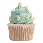 PME Cukrové zdobení Sedmikrásky 25g