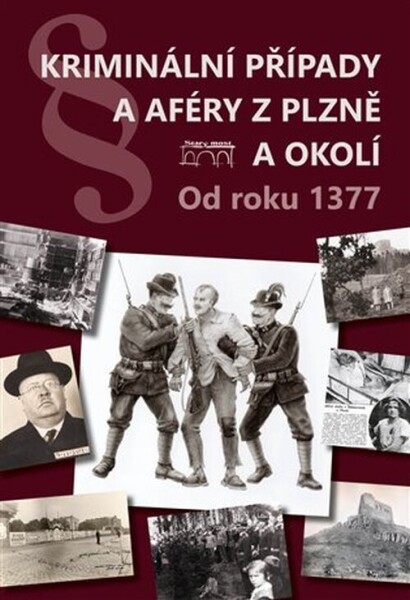 Kriminální případy a aféry z Plzně a okolí od roku 1377 - Miroslav Eisenhammer