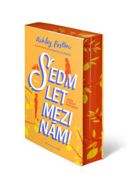 Sedm let mezi námi - Ashley Poston