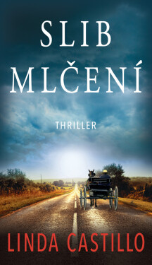 Slib mlčení - Linda Castillo